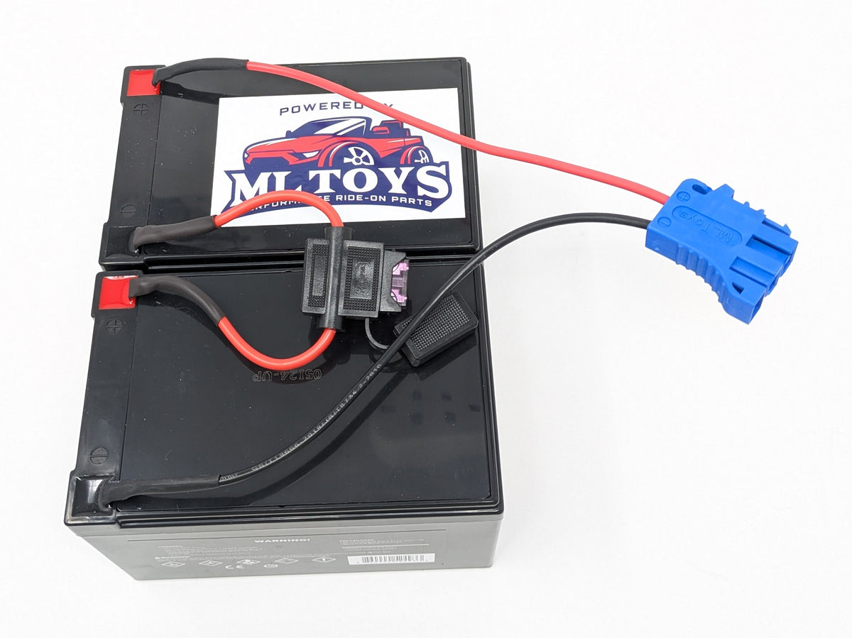 24 Volt 12 amp Battery for 12 Volt Peg Perego