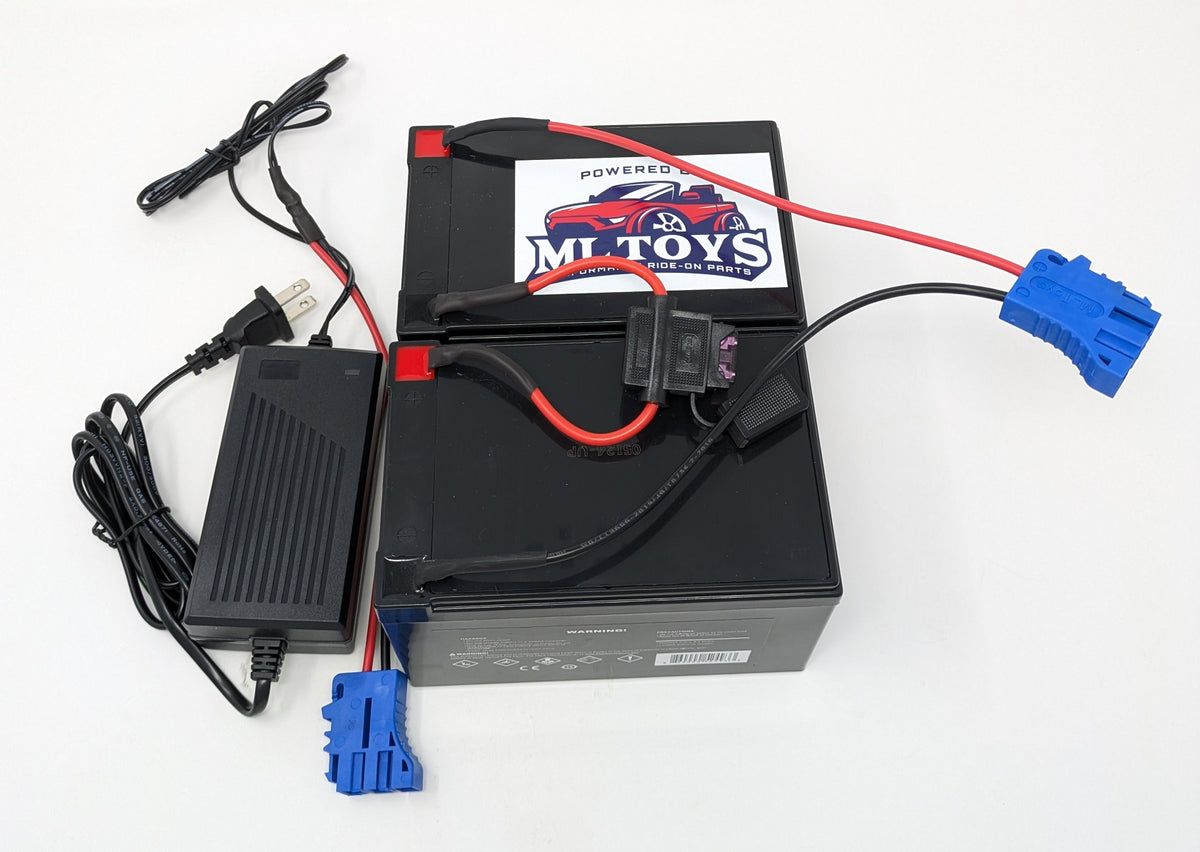 24 Volt Conversion for 12 Volt Peg Perego w/ charger