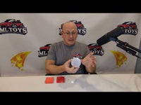 Pair of Tail Light lenses