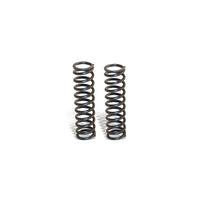 Dynacraft 24v UTV Rear Spring Upgrade Set