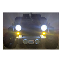 Pair of Headlight lenses