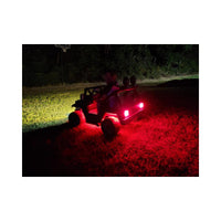 Pair of Tail Light lenses